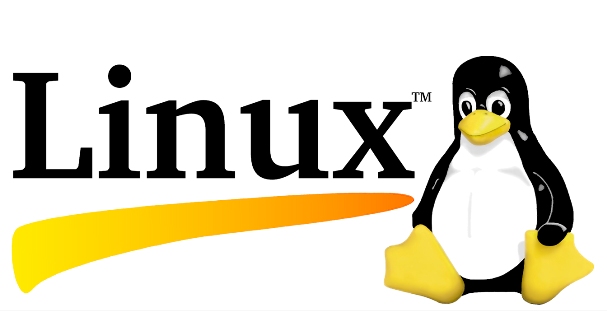10 дистрибутивов Linux для серверов