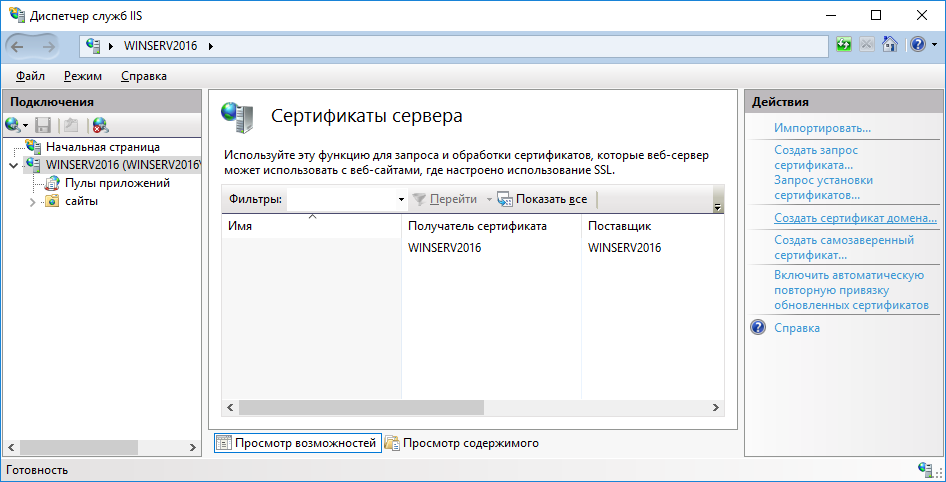 Выберите Создать сертификат домена
