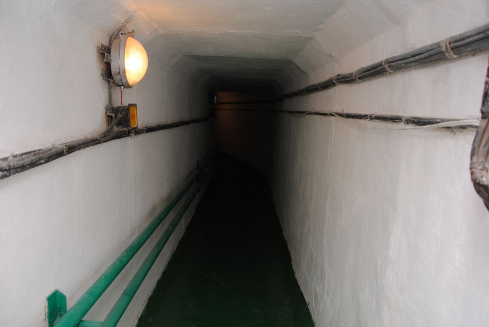 5.JPG