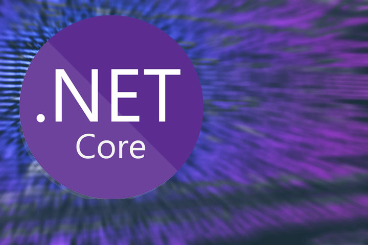 netcore-1.jpg