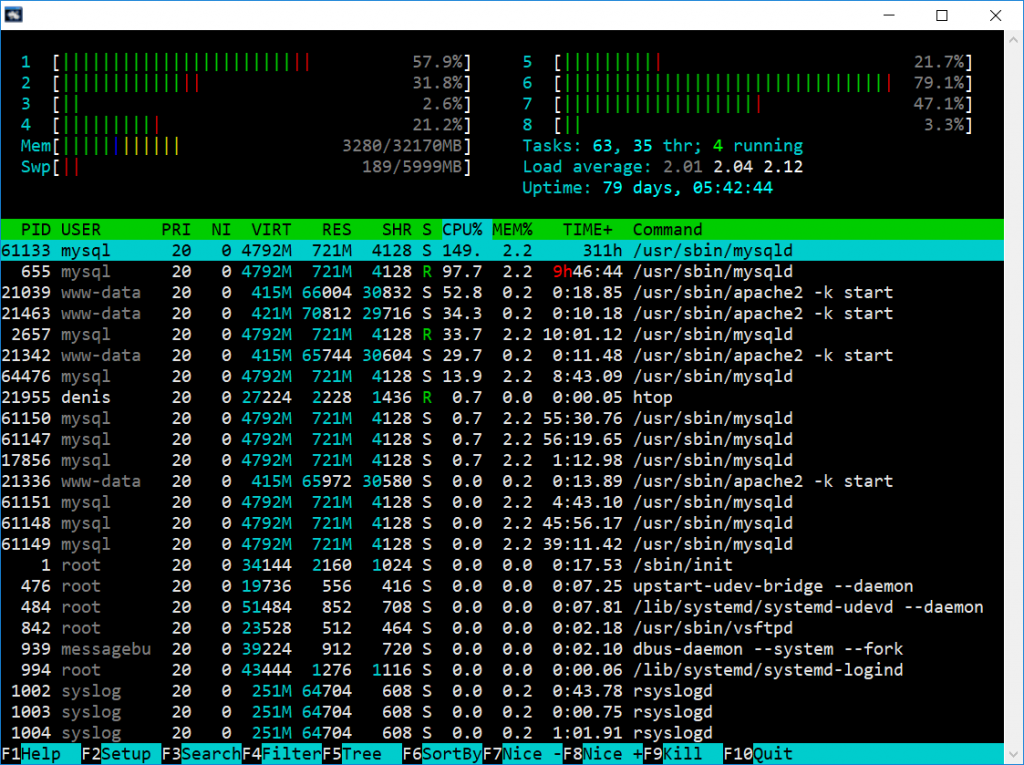 htop.png