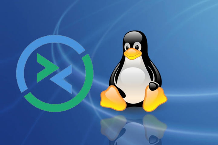 rdp-linux картинка